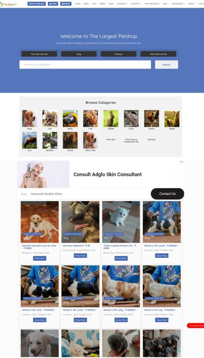 screenshot_3_20_2024_12-33-01 AM